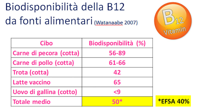 biodisponibilità vit B12