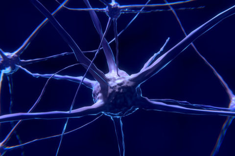 neurotrasmettitori neuroni