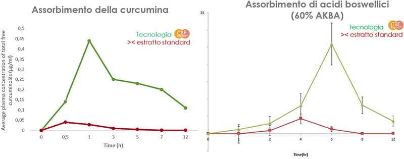 assorbimento curcuma e boswellia