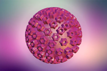 Herpes Virus