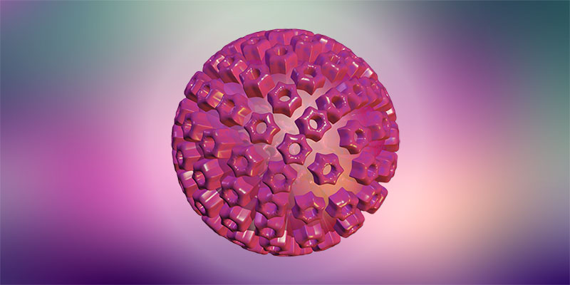 Herpes Virus