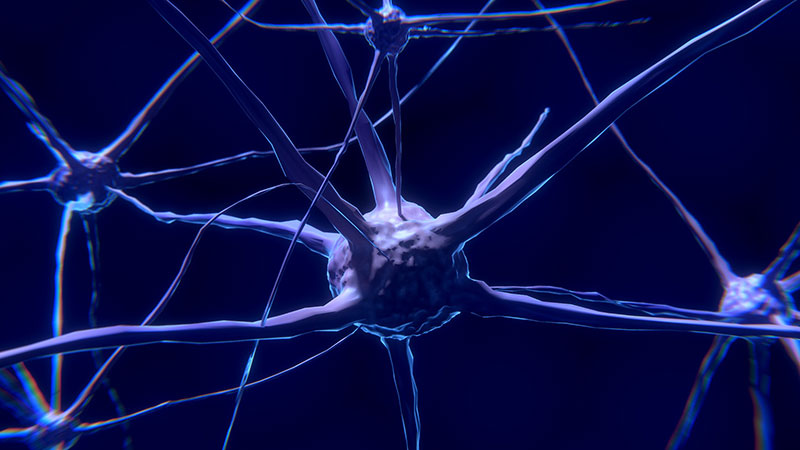 neurotrasmettitori neuroni