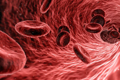 microcircolo