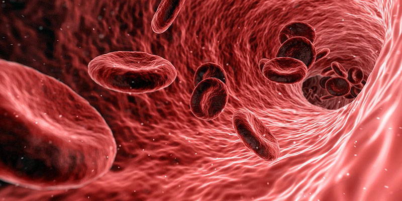 microcircolo